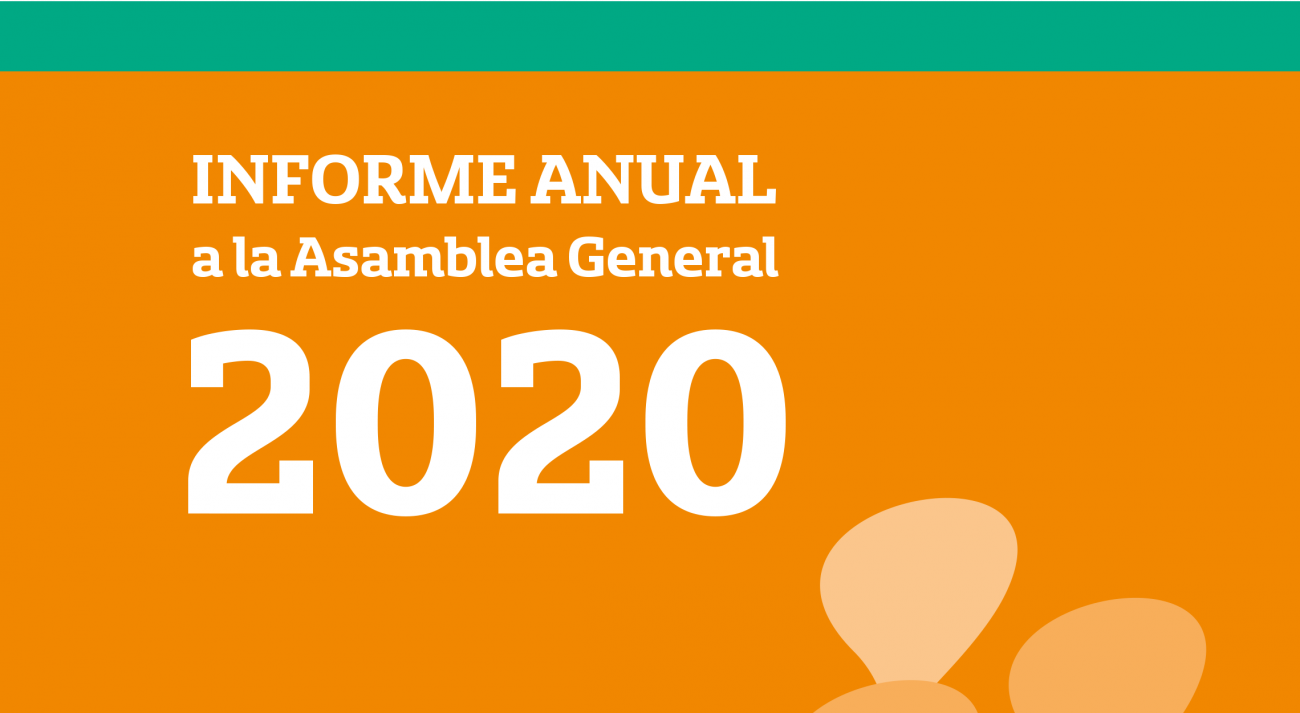 Informe Anual a la Asamblea General 2020 INDDHH